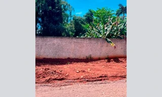 Imóvel 2731359 [''] - ['Rua Raimundo Frazao do Lado, S/N Lote 02 da Quadra 14'] [''] - ['Guaíra']/['PR'] - 1