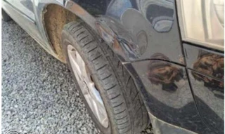 Imóvel 2683860 [''] - ['Rua Estrada 2º Braço, Rua Lateral do Pesque Pague 3 Lagoas, s/n, casa, rural'] ['Guarani'] - ['Massaranduba']/['SC'] - 1