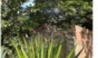 Imóvel 2933960 [''] - ['Rua 75, n 497'] [''] - ['Tanguá']/['RJ'] - 1
