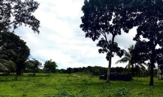 Imóvel 3060760 [''] - ['Travessa Noventa e Quatro, S/N, KM 07, nº S/N, Zona Rural'] [''] - ['São Francisco Do Pará']/['PA'] - 1