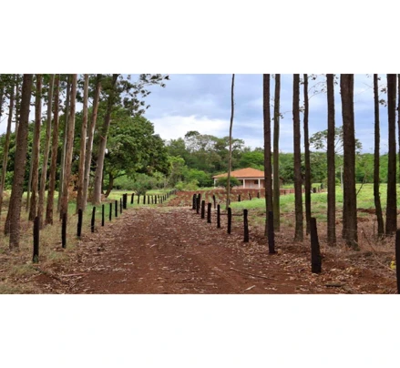 Imóvel rural em Mercedes, , PR /Mercedes, PR. Área: 113350m2 - imagem 0
