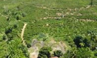 Imóvel 2716260 [''] - ['Córrego da Prata, Município e Comarca de Marilândia'] [''] - ['Marilândia']/['ES'] - 1