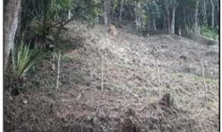 Imóvel 2413460 ['1444420251920'] - ['ESTRADA DO LAGO,N. SN LT 110, QD14, ALBUQUERQUE - CEP: 25976-840, TERESOPOLIS - RIO DE JANEIRO'] [''] - ['Teresópolis']/['RJ'] - 1