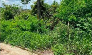 Imóvel 2896160 [''] - ['Rua Mauricio Goulart, sn (Lote 46 da Quadra 06)'] [''] - ['São Lourenço Da Mata']/['PE'] - 1