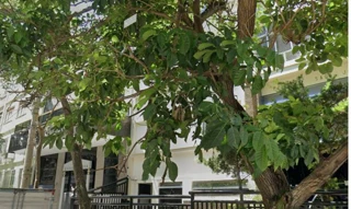 Imóvel 3047761 [''] - ['Avenida Almirante Ary Parreiras, Icaraí'] ['Icaraí'] - ['Niterói']/['RJ'] - 1