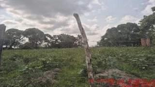 Imóvel 2696461 [''] - ['Bragança, PA'] [''] - ['Bragança']/['PA'] - 1