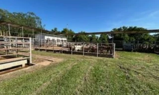 Imóvel 2851761 [''] - ['Chácara São Jeronimo, S/N - Zona Rural - José Bonifácio / SP'] [''] - ['José Bonifácio']/['SP'] - 1