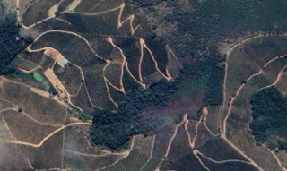 Imóvel 2970661 [''] - ['Córrego Sapucaia, zona rural'] [''] - ['Mutum']/['MG'] - 1