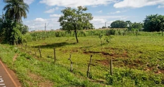 Imóvel 3020561 [''] - ['A. Rural, KM 4 - Área Rural De Juruce - Jardinópolis/SP'] [''] - ['Jardinópolis']/['SP'] - 1