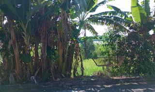 Imóvel 2711561 [''] - ['Av. Brasil, Jardim América'] ['Jardim America'] - ['Três Corações']/['MG'] - 1