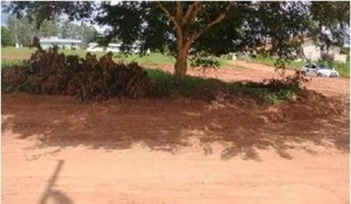 Imóvel 2475461 [''] - ["Lote de terreno sob nº 12 da quadra 'HM', com frente 6,00m com Rua 320; 9m em curva com a Rua 316; fundos 15,00m com lote 11; esquerda 21,00m com Rua 316; direita 30,00m com lote 13"] [''] - ['Águas De Santa Bárbara']/['SP'] - 1