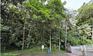 Imóvel 2617961 [''] - ['Rua Rosa Bielau, 111'] ['Velha Central'] - ['Blumenau']/['SC'] - 1