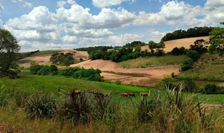 Imóvel 2658361 [''] - ['Nao informado Nao informado Situado em Travessao Coqueiros'] [''] - ['Carazinho']/['RS'] - 1