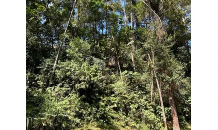 Terreno em Itapevi, Itaqui, Estrada do Itaqui, 120 - Lote D-19, Condomínio Nova São Paulo, SP. Área: 561.26m2