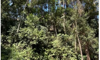 Imóvel 2568361 [''] - ['Estrada do Itaqui, 120 - Lote D-19, Condomínio Nova São Paulo - Itaqui - Itapevi / SP'] ['Itaqui'] - ['Itapevi']/['SP'] - 1