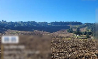 Imóvel 3066561 [''] - ['Nao informado Nao informado situado na Serra no Carreiro no lugar denominado Barra Seca'] [''] - ['Paraí']/['RS'] - 1