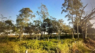 Imóvel 2707061 [''] - ['Servidão João Setero Simas'] [''] - ['São João Batista']/['SC'] - 1