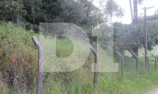Imóvel 2375261 [''] - ['Estrada dos Cannos, S/N, Vila Darcy Penteado (Mailasqui)'] [''] - ['São Roque']/['SP'] - 1
