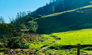 Imóvel 2575761 [''] - ['Linha Ribeirao do Salto Nao informado'] [''] - ['Taió']/['SC'] - 1