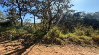 Imóvel 2597161 [''] - ['Rua da Rodovia, Vila das Amoreiras, Mário Campos/MG'] [''] - ['Mário Campos']/['MG'] - 1