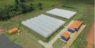 Imóvel 2612262 [''] - ['ESTRADA SANTA IZABEL, S/N, ZONA RURAL'] [''] - ['São Simão']/['SP'] - 1