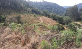 Imóvel 2876962 [''] - ['Fração ideal de 97.886,00 m², dentro do todo maior, da fração de terras rurais com a área de 520.090m², sito no lugar denominado Pinhal Queimado'] [''] - ['Arvorezinha']/['RS'] - 1