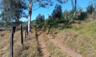 Imóvel 2588762 [''] - ['Estrada á aproximadamente 800 m da Estrada Municipal Francisca de Oliveira Assis, s/n'] ['Bairro do Menin'] - ['Bragança Paulista']/['SP'] - 1