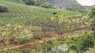 Imóvel 2552762 [''] - ['CÓRREGO ÁGUAS CLARAS,'] [''] - ['Águia Branca']/['ES'] - 1