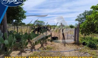 Imóvel 3042262 [''] - ['ENDEREÇO NÃO LOCALIZADO - UMBURANAS - SERTANIA/PE'] [''] - ['Sertânia']/['PE'] - 1
