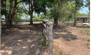 Imóvel 2484162 [''] - ['Projeto Fundiário Corumbiara, Linha 07'] [''] - ['Cacoal']/['RO'] - 1