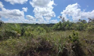 Imóvel 2646662 [''] - ["Área 01 - Lote 03B, s/n - Área 1 - Lote 03B, S/N, Área 1, Lote 03B, Povoado Duro, Itaporanga d'Aj, , Itaporanga dAjuda/SE"] ['Duro'] - ["Itaporanga D'Ajuda"]/['SE'] - 1