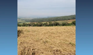 Imóvel 2937962 [''] - ['Fazenda Barro Vermelho, s/n, Zona Rural, Boa Esperança, MG, 37170-000'] [''] - ['Boa Esperança']/['MG'] - 1
