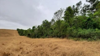 Imóvel 2605962 [''] - ['A. Rural - Area Rural De Erechim'] [''] - ['Erechim']/['RS'] - 1