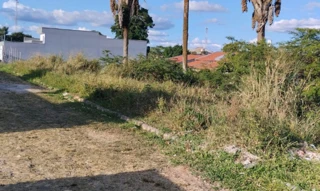 Imóvel 3041962 [''] - ['Rua Vice Prefeito Gonçalo R. de Medeiros, 75, 67, 59, Zona Rural, Ibiapina/CE'] ['São João'] - ['Ibiapina']/['CE'] - 1