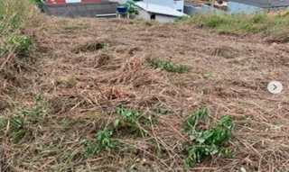 Imóvel 2596662 [''] - ['Nao informado Nao informado'] [''] - ['Miracatu']/['SP'] - 1