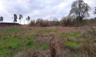 Imóvel 2873562 [''] - ['estrada de uso residencial e industrial, próximo ao acesso da Rodovia RS-324'] [''] - ['Trindade Do Sul']/['RS'] - 1