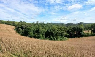 Imóvel 2693962 [''] - ['Estrada Municipal MFR-489, Localidade de Águas Claras'] [''] - ['Rio Negrinho']/['SC'] - 1