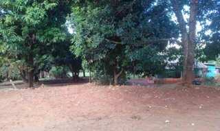 Imóvel 2653563 [''] - ['Chacara de terras no 55 da subdivisao do lote 14-F da Gleba Primavera'] ['Primavera'] - ['Londrina']/['PR'] - 1