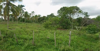 Imóvel 2980463 [''] - ['Fazenda Carapitanga'] [''] - ['Brejo Grande']/['SE'] - 1