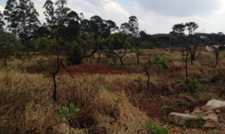 Imóvel 2599963 ['IDR186507'] - ['Rua Mauro Farias, s/n, Quadra D, Lote 08, 09,10, Loteamento Projeto Gaivotas, Milenium, Araguari, MG, 38477-381'] ['Milenium'] - ['Araguari']/['MG'] - 1