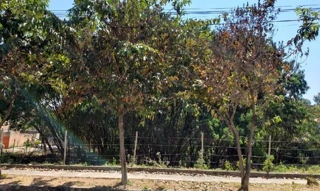 Imóvel 487863 [''] - ['Rua Bento Romero,'] [''] - ['Belo Horizonte']/['MG'] - 1