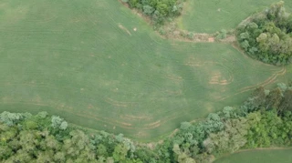 Imóvel 2518663 [''] - ['Linha Lambari, interior, s/nº'] [''] - ['Viadutos']/['RS'] - 1