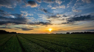 Imóvel 2039163 [''] - ['Rua Fonte Nova do Desterro, nº 06, Bairro da Saúde'] ['Nazaré'] - ['Salvador']/['BA'] - 1