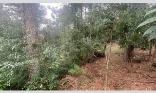 Imóvel 2863663 [''] - ['Nao informado Nao informado lote 181'] [''] - ['São Francisco De Paula']/['RS'] - 1