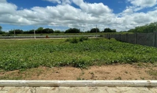 Imóvel 2333563 [''] - ['Rua A, s/n - Lote 13 da quadra A - Fazenda Jazigo - Serra Talhada / PE'] [''] - ['Serra Talhada']/['PE'] - 1