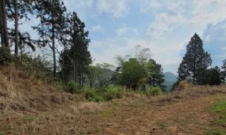 Imóvel 2977763 [''] - ['Estrada particular Condomínio Saint Michel - entrada pela Estrada Ecoturística do Suru, 11000 - Suru - Santana de Parnaíba/SP'] ['Suru'] - ['Santana De Parnaíba']/['SP'] - 1