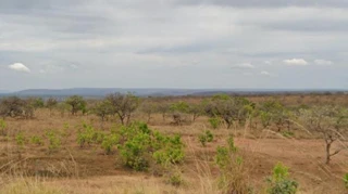 Imóvel 2658664 [''] - ['Fazenda Riacho Fundo'] [''] - ['Chapada Gaúcha']/['MG'] - 1