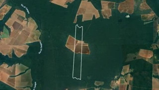 Imóvel 2659064 [''] - ['Fazenda Primavera V, Nova Maringá, Nova Maringá, MT'] [''] - ['Nova Maringá']/['MT'] - 1