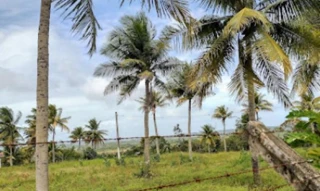 Imóvel 2665964 [''] - ['Lote de terreno próprio nº 30 da quadra XXI, integrante do Loteamento GRANJAS ELDORADO, localizado no Distrito de Tejucupapo'] [''] - ['Goiana']/['PE'] - 1