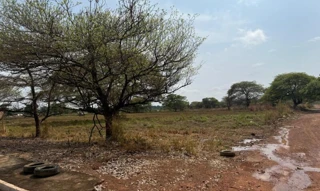 Imóvel 2609764 [''] - ['Lote nº 10 da Quadra nº 48'] [''] - ['Araguacema']/['TO'] - 1